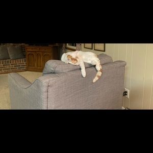 Meet your Posher, Mayo